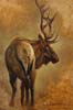The End   Oil ~12 x 8